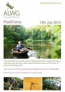 PoolForce copy