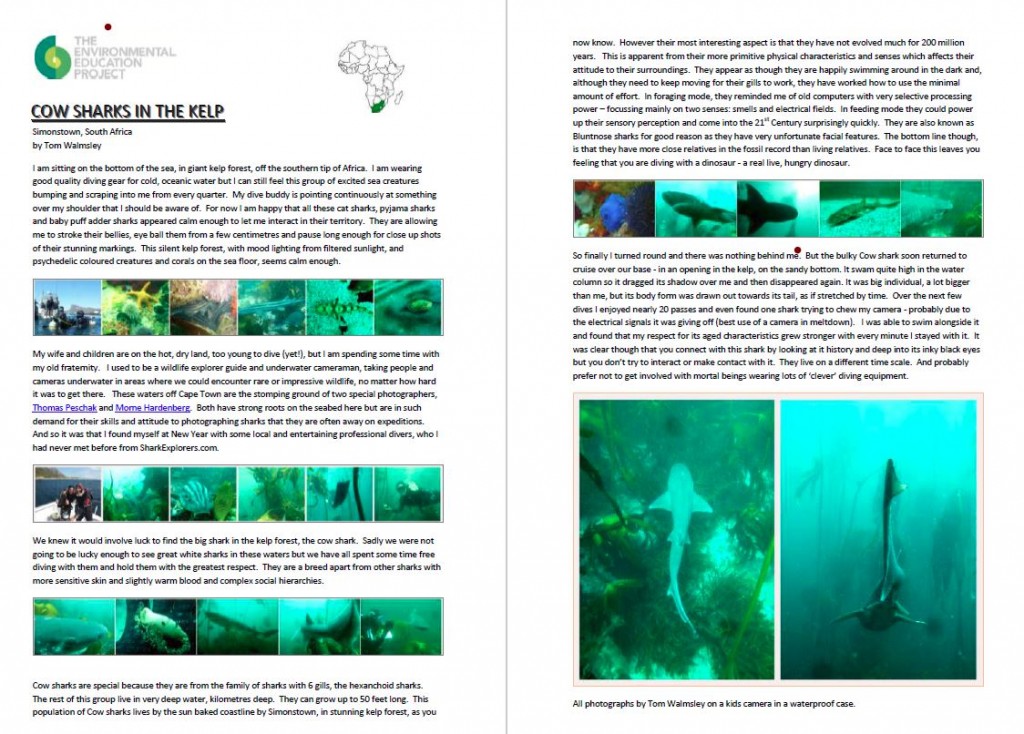Cape Shark blog as JPEG