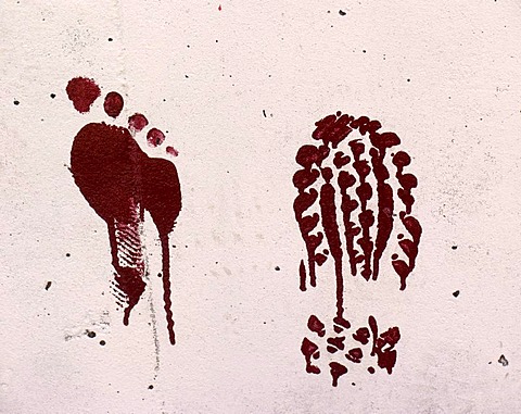 Which is your footprint?