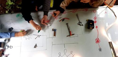 Creating a classification chart showing diversity lying around in the shed...
