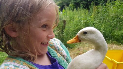 Who loves ducks!