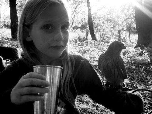 Young falconer in training (2)